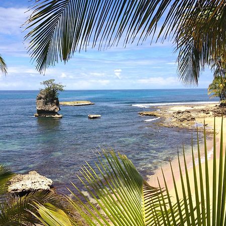 Physis Caribbean Bed & Breakfast Puerto Viejo de Talamanca Екстериор снимка