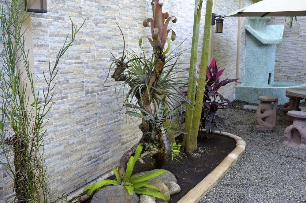 Physis Caribbean Bed & Breakfast Puerto Viejo de Talamanca Екстериор снимка