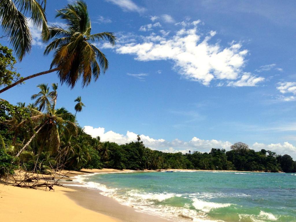 Physis Caribbean Bed & Breakfast Puerto Viejo de Talamanca Екстериор снимка