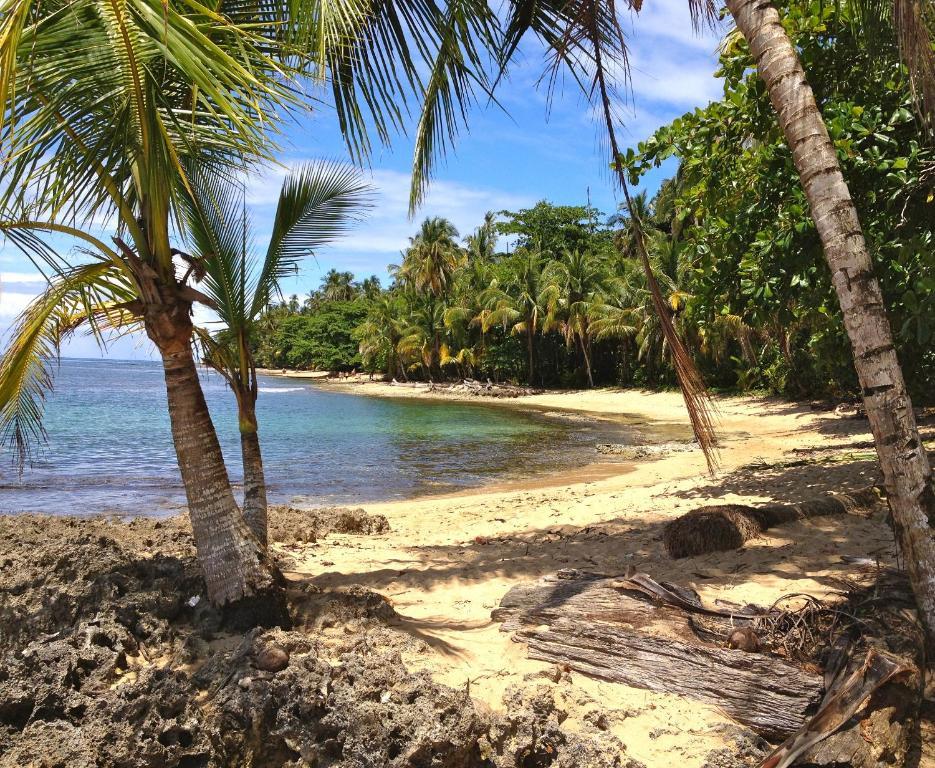 Physis Caribbean Bed & Breakfast Puerto Viejo de Talamanca Екстериор снимка