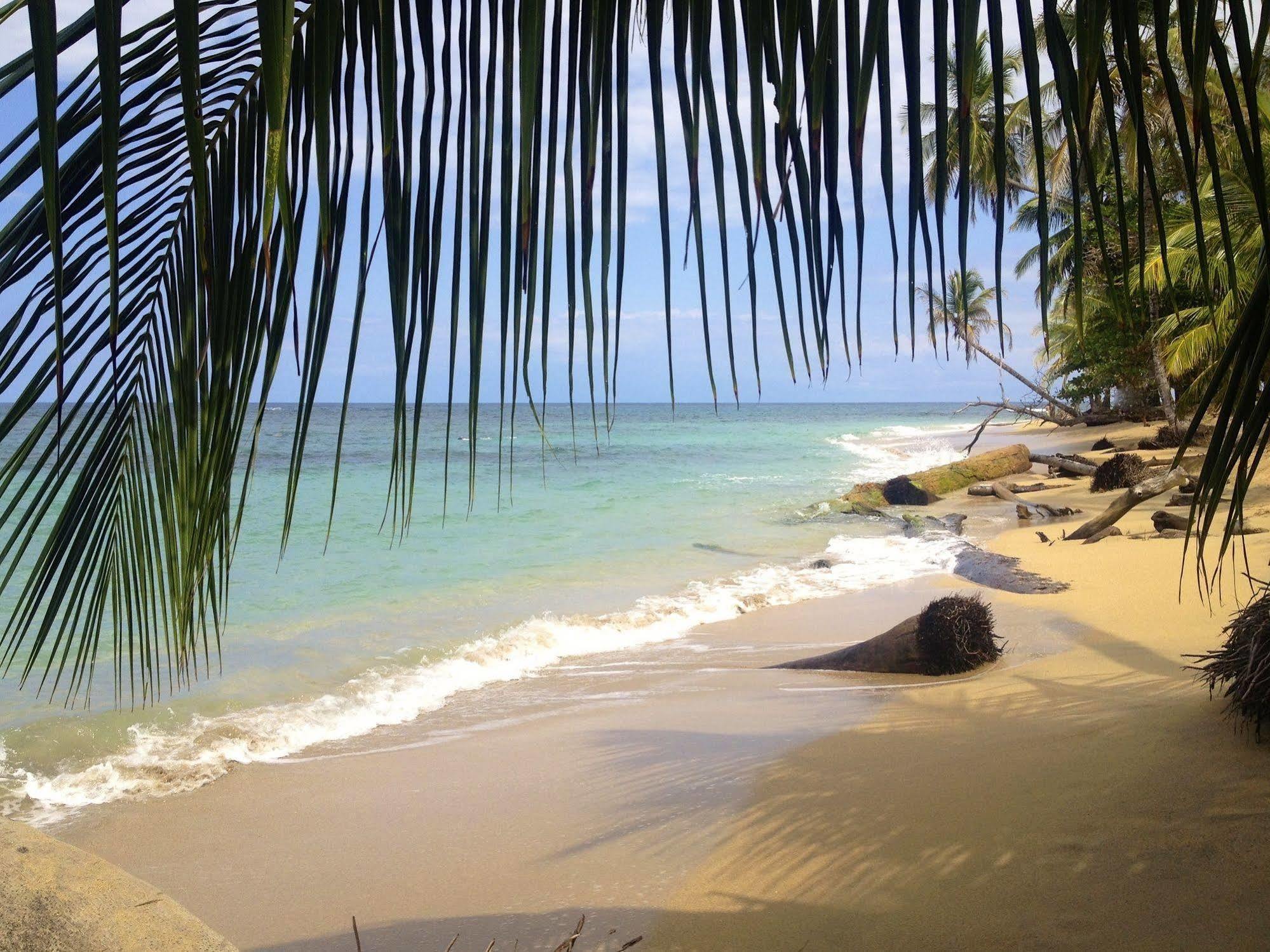Physis Caribbean Bed & Breakfast Puerto Viejo de Talamanca Екстериор снимка